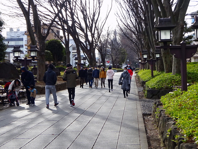 大宮盆栽村