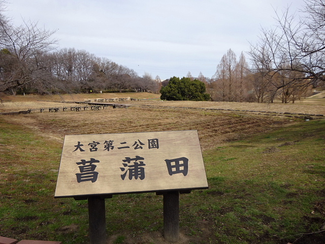 大宮盆栽村