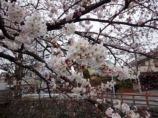 川越