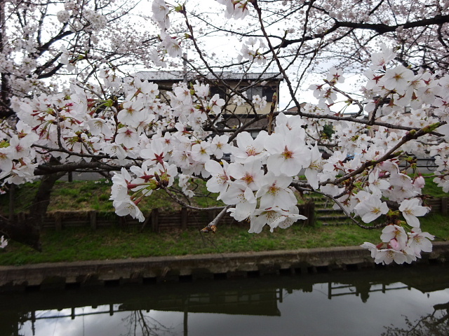 川越