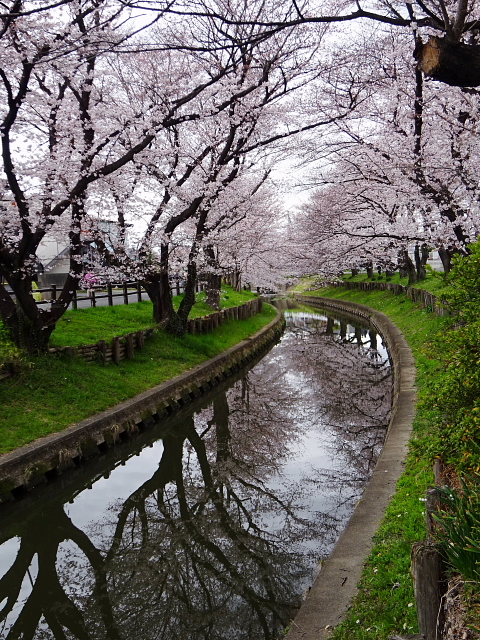 川越