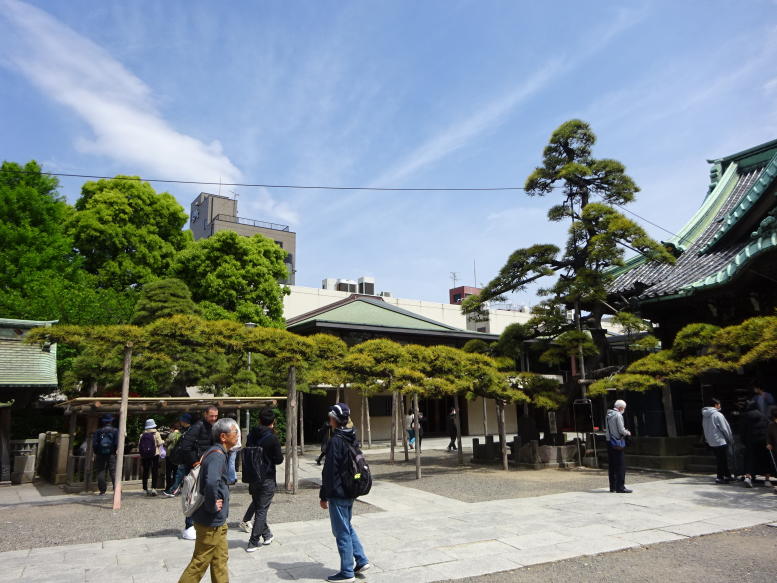 柴又帝釈天