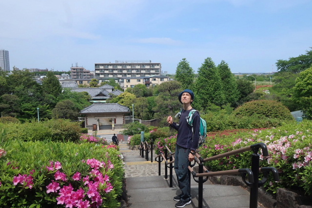 柴又帝釈天
