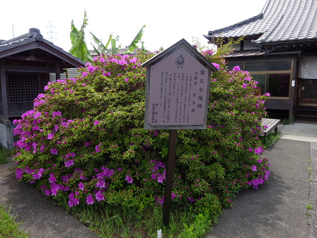 柴又帝釈天