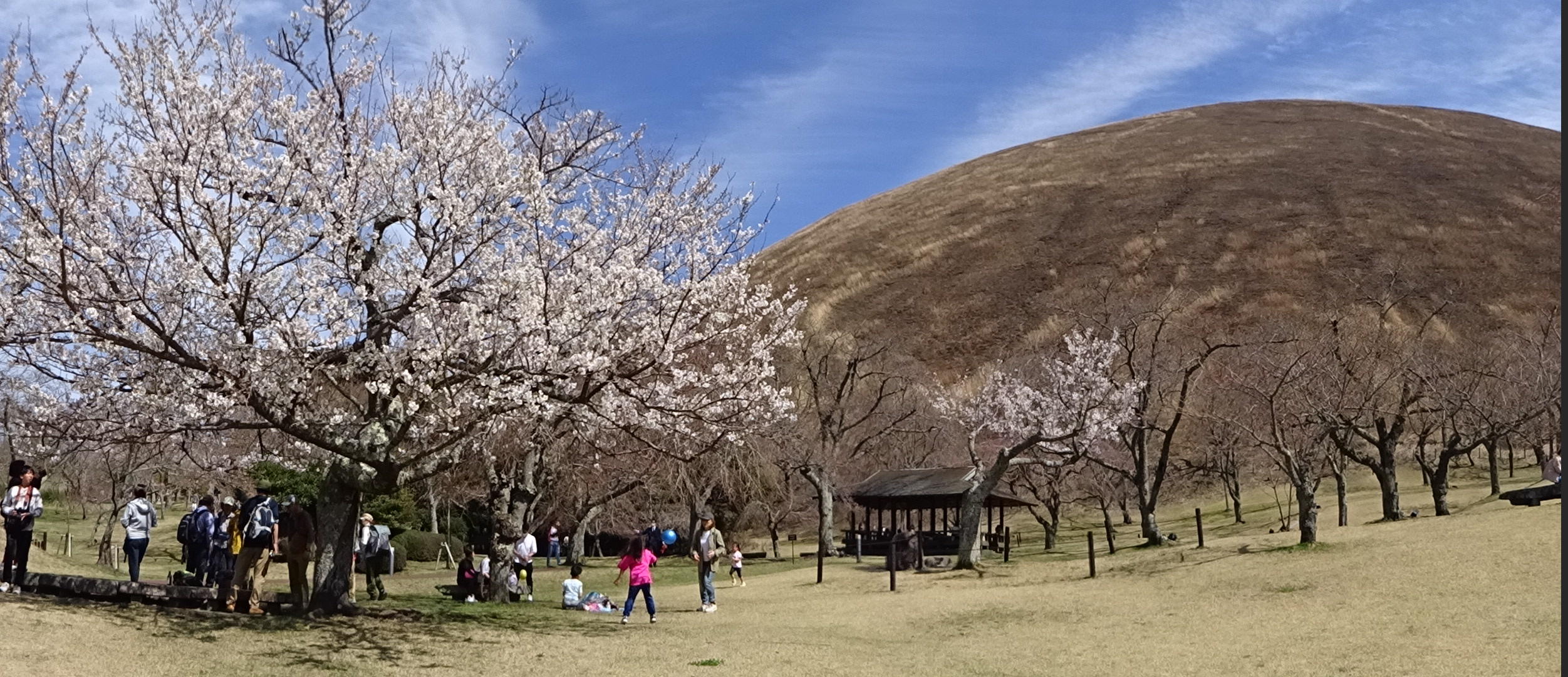 大室山