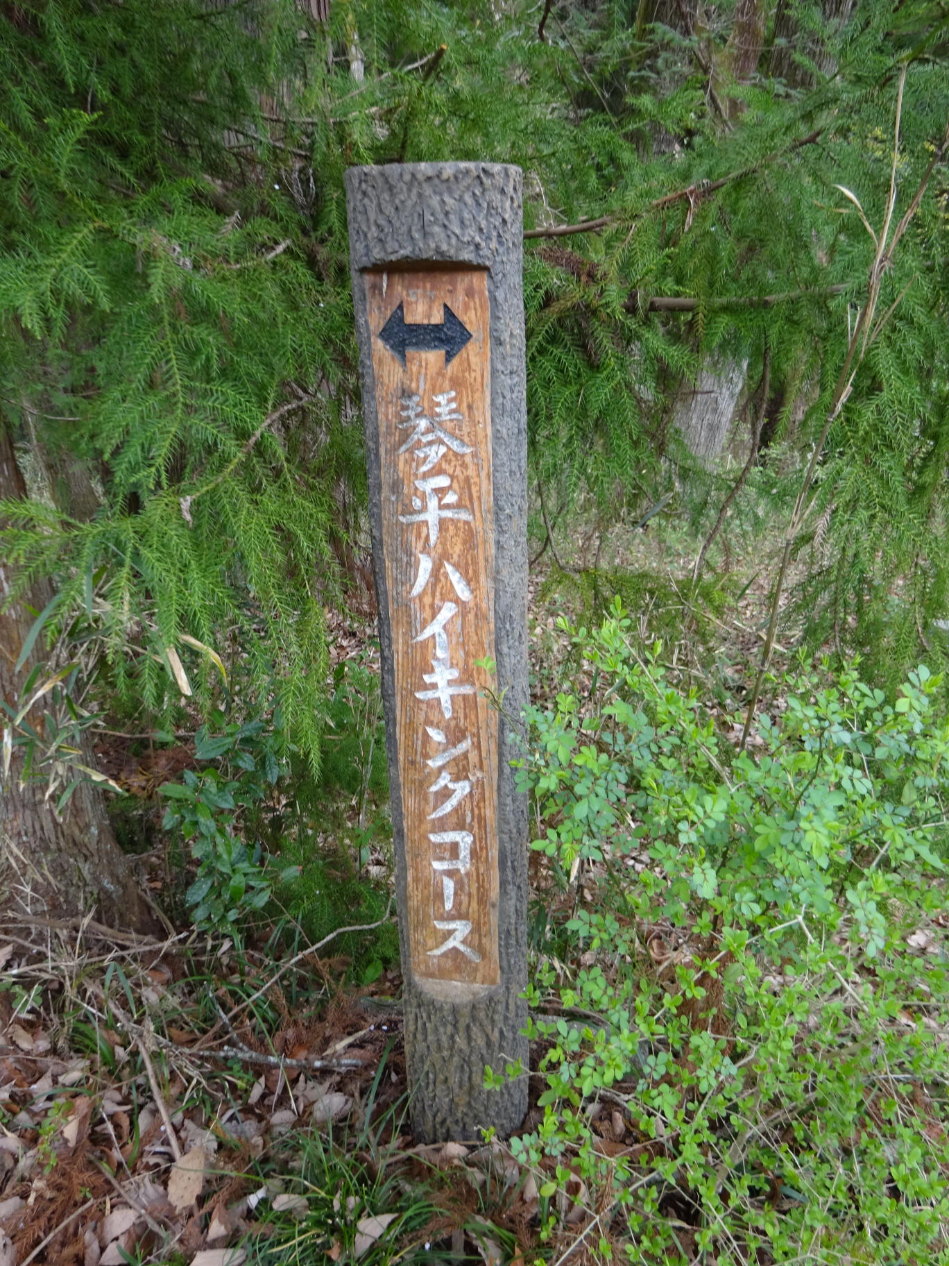 琴平丘陵