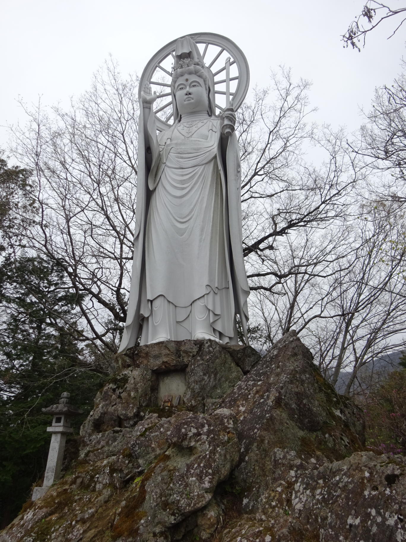 琴平丘陵