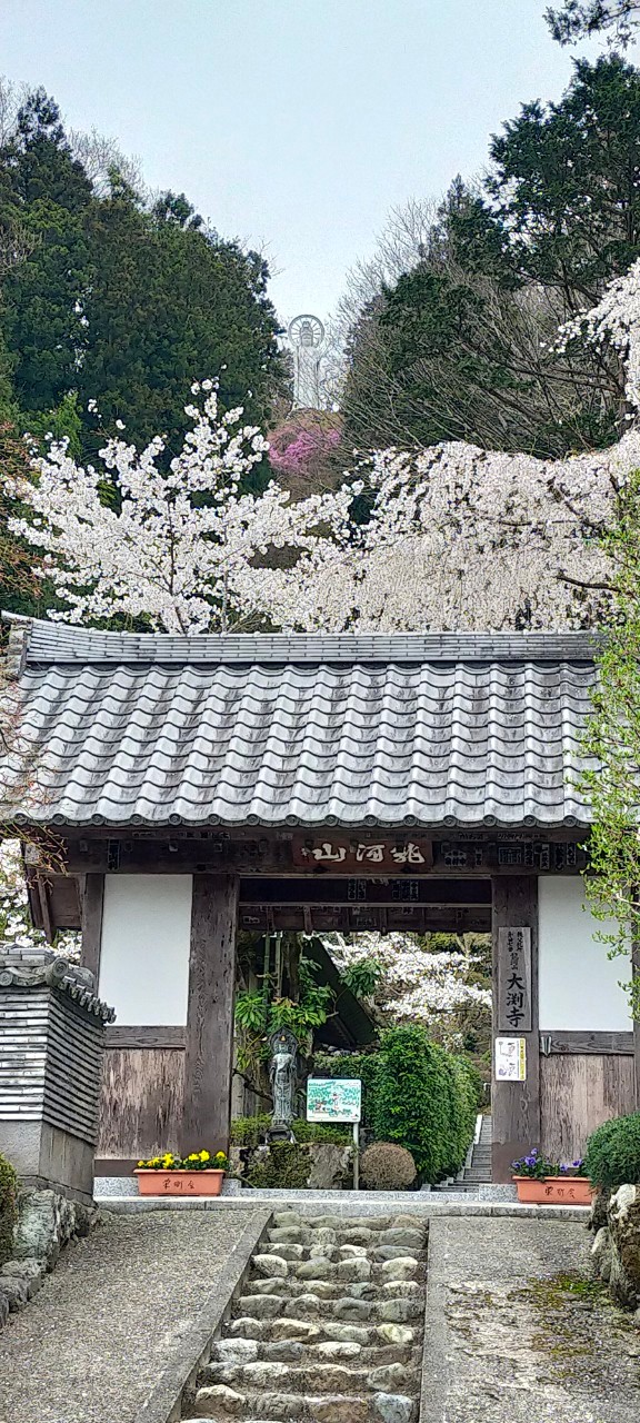 琴平丘陵