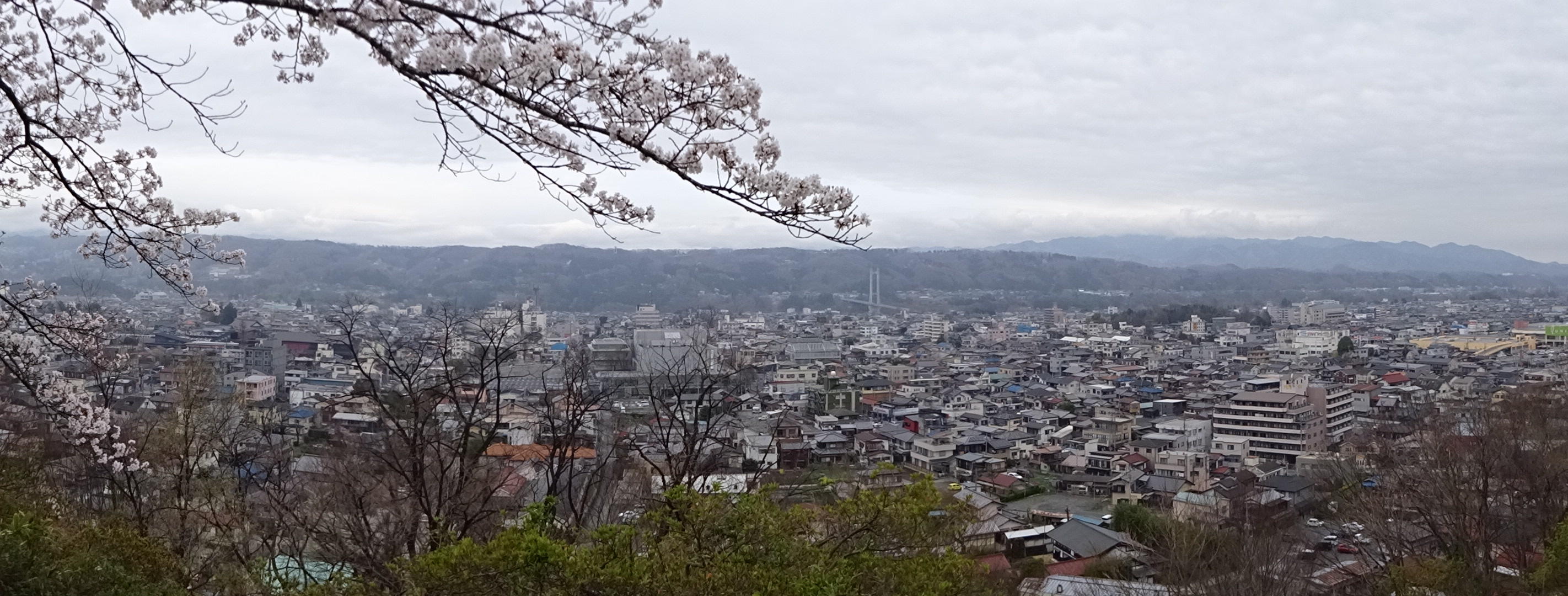 琴平丘陵