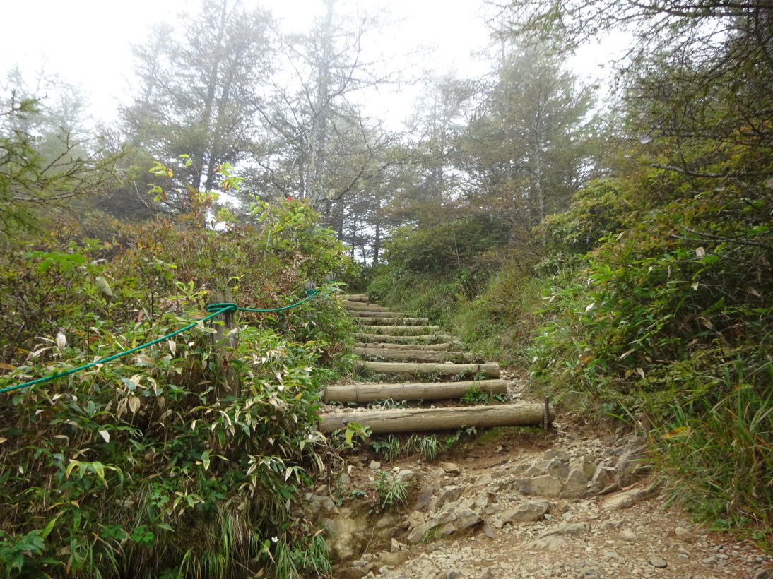 入笠山