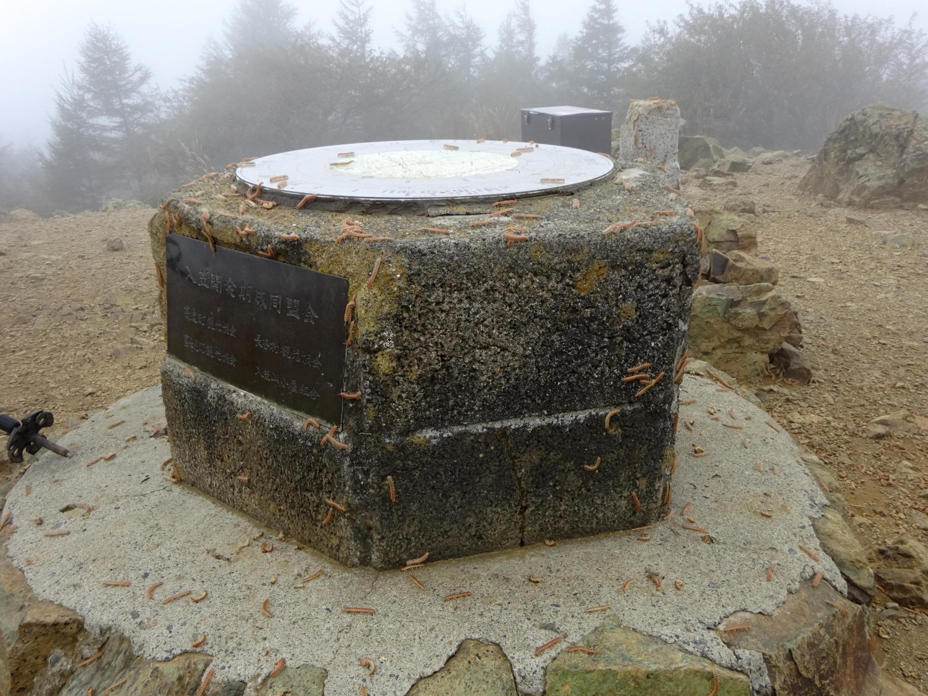 入笠山