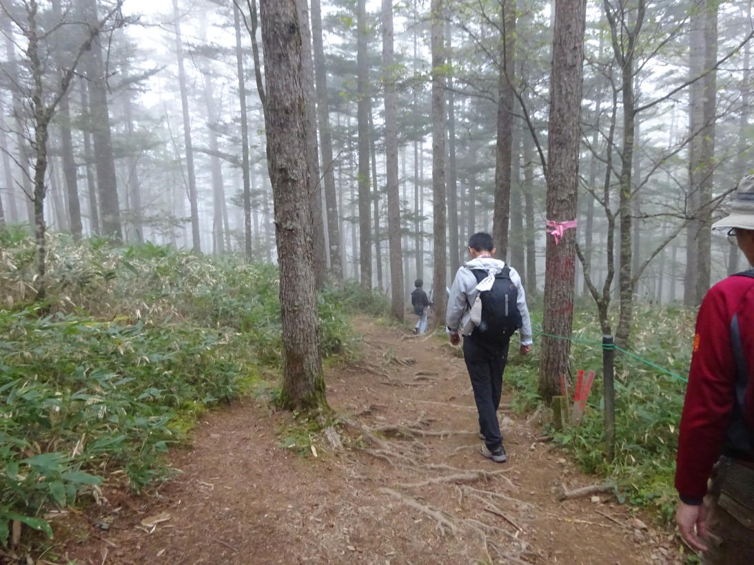 入笠山