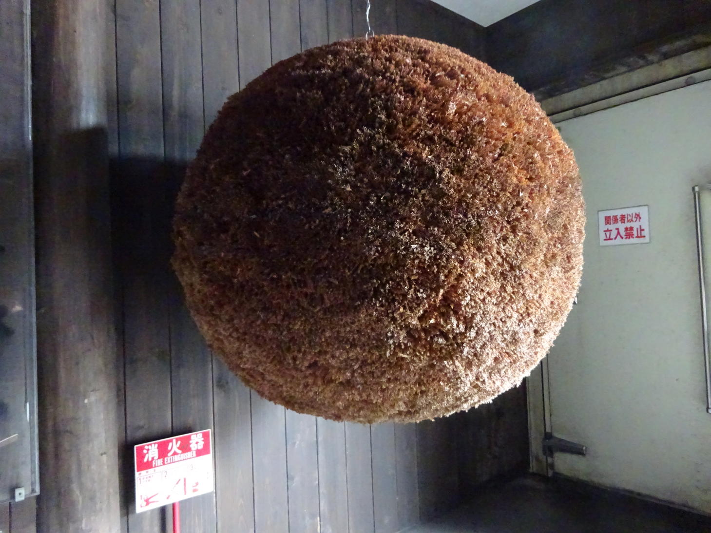 御岳渓谷