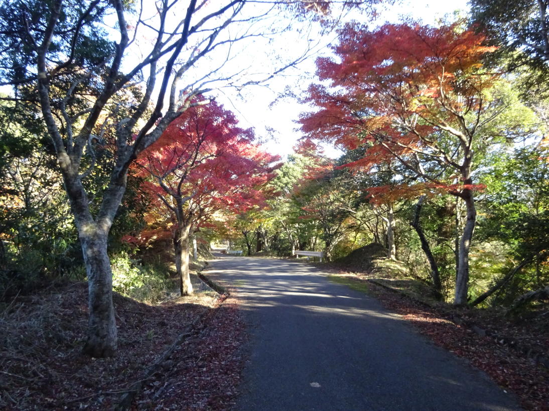養老渓谷