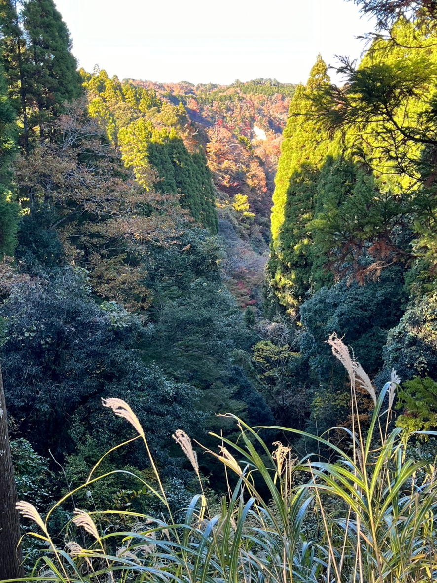 養老渓谷