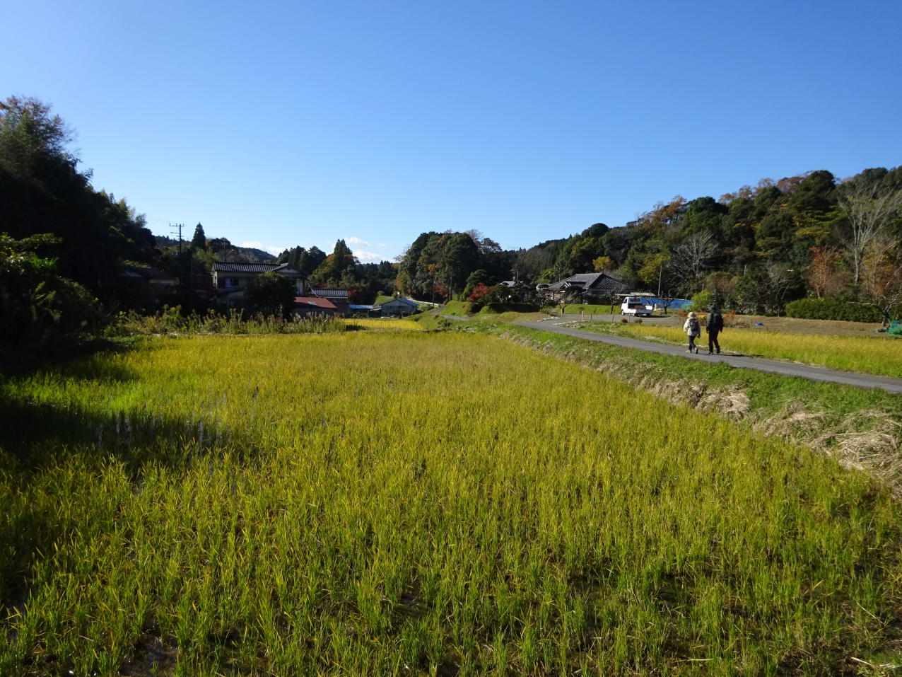 養老渓谷