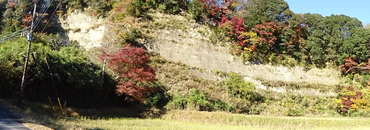 養老渓谷