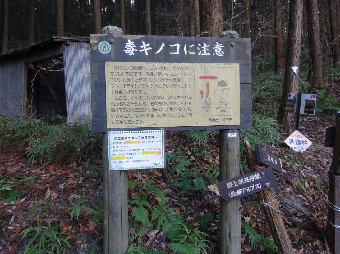 宝登山