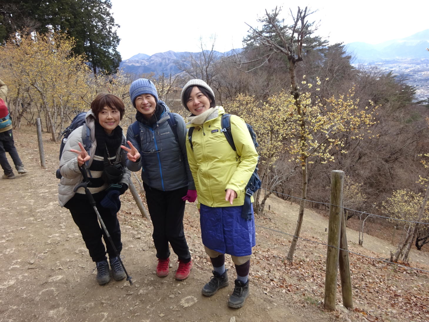 宝登山