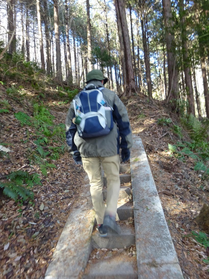 宝登山