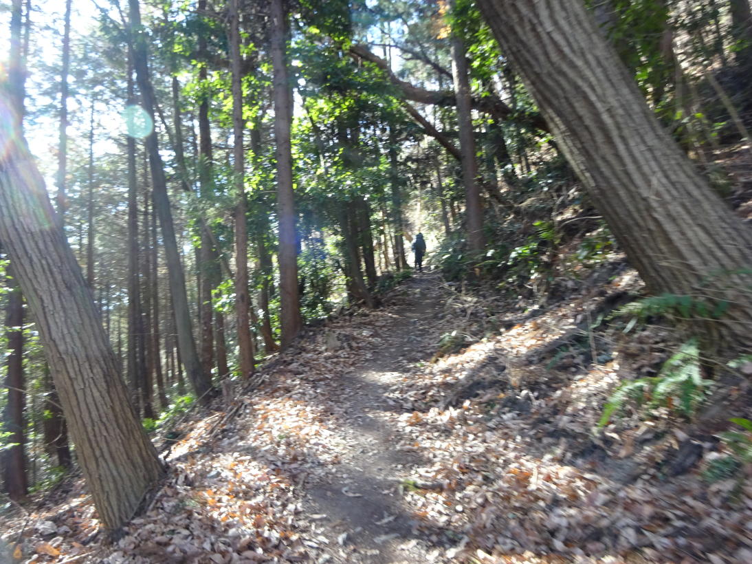 宝登山
