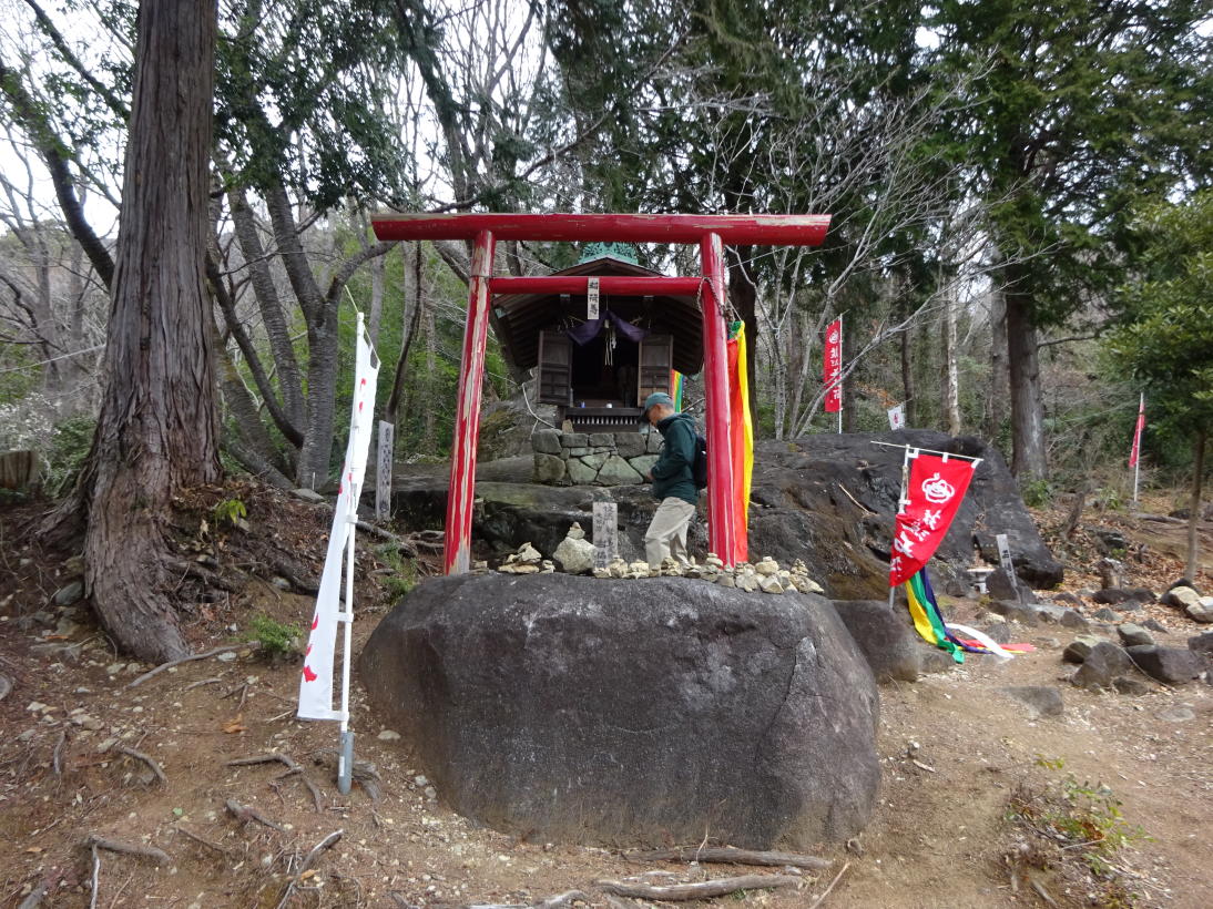 筑波梅林