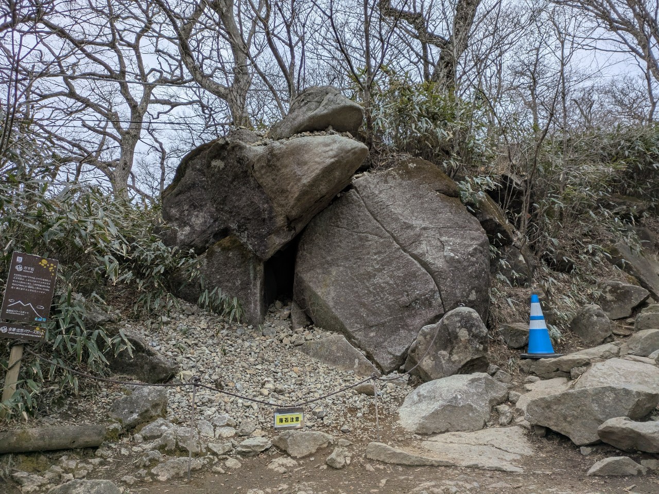 筑波梅林