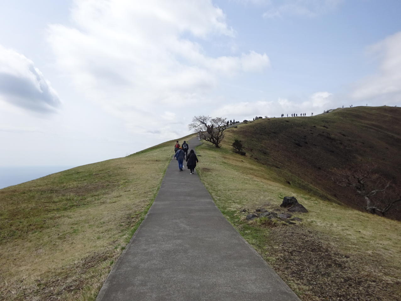 養老渓谷