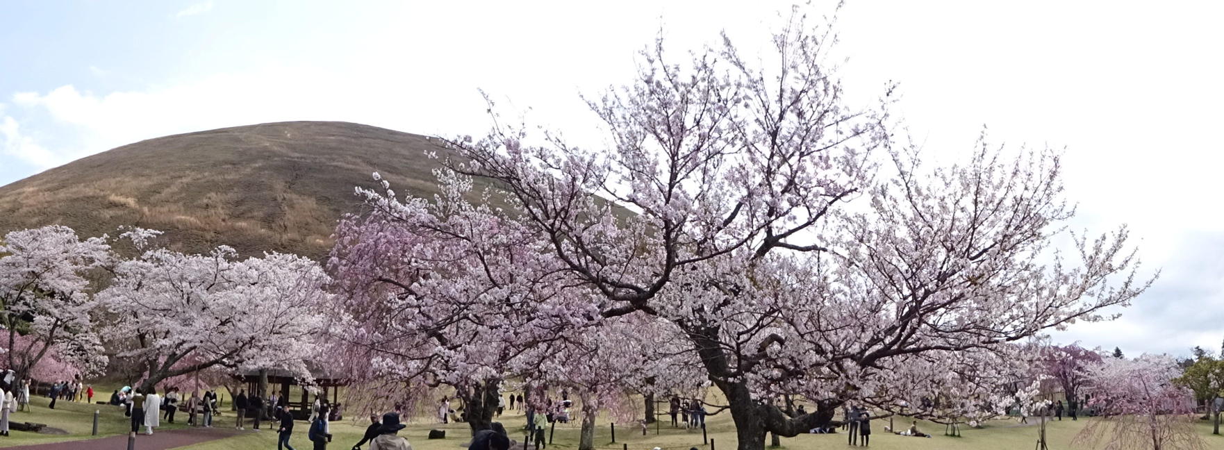 養老渓谷