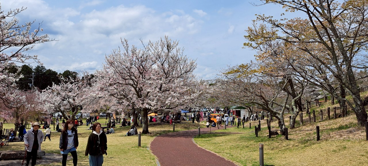 養老渓谷