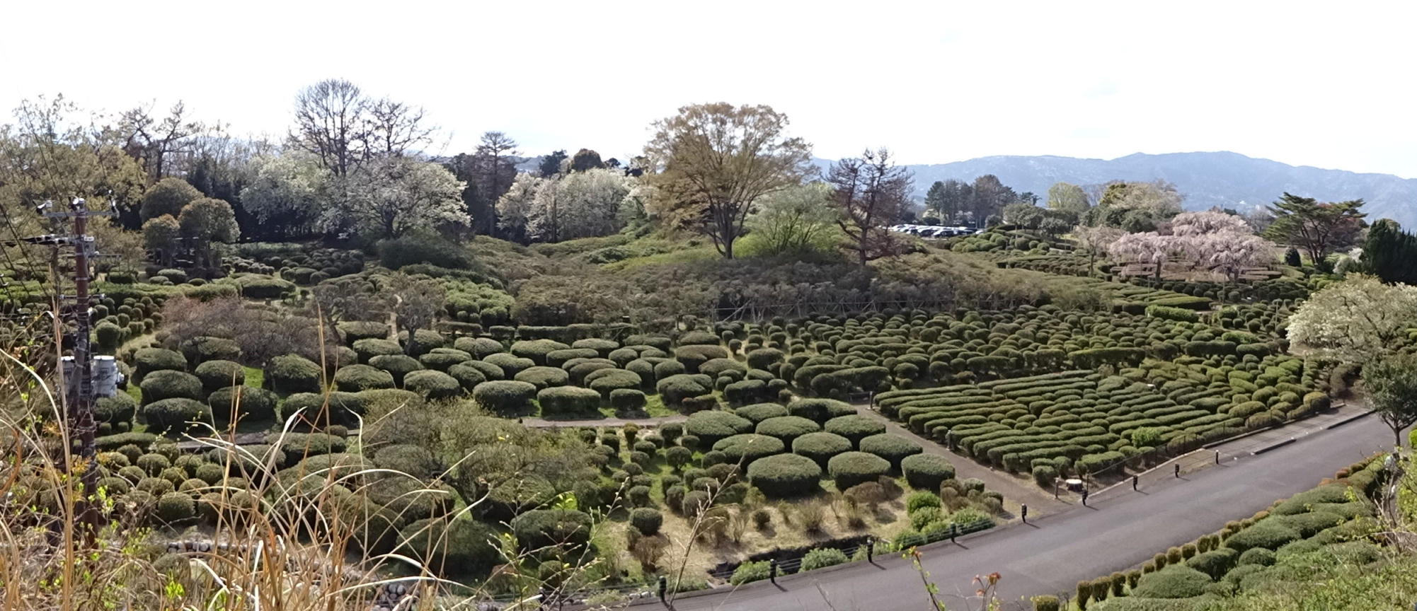 養老渓谷