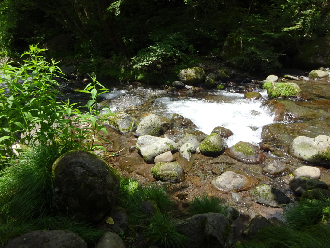 清里高原