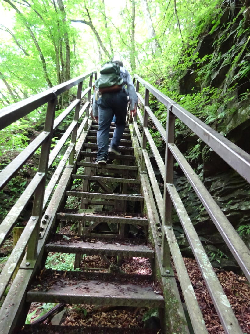 清里高原