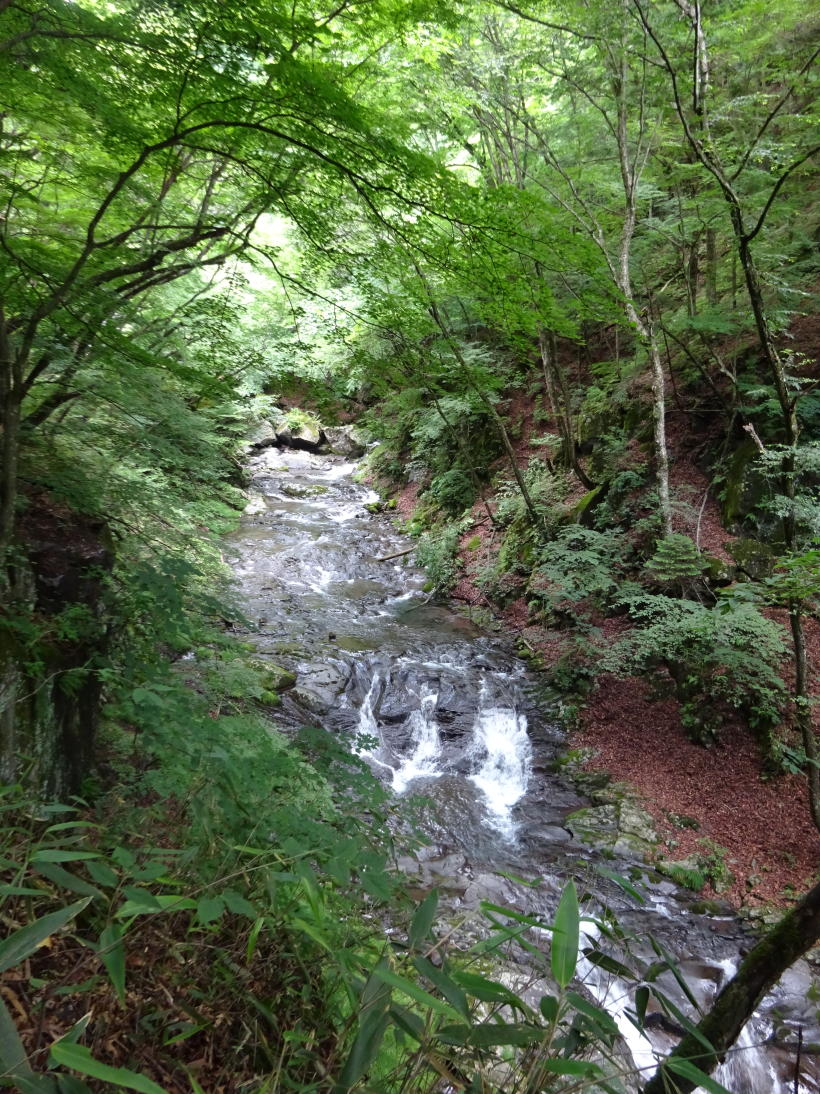清里高原