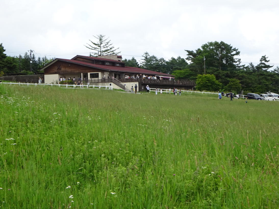 清里高原