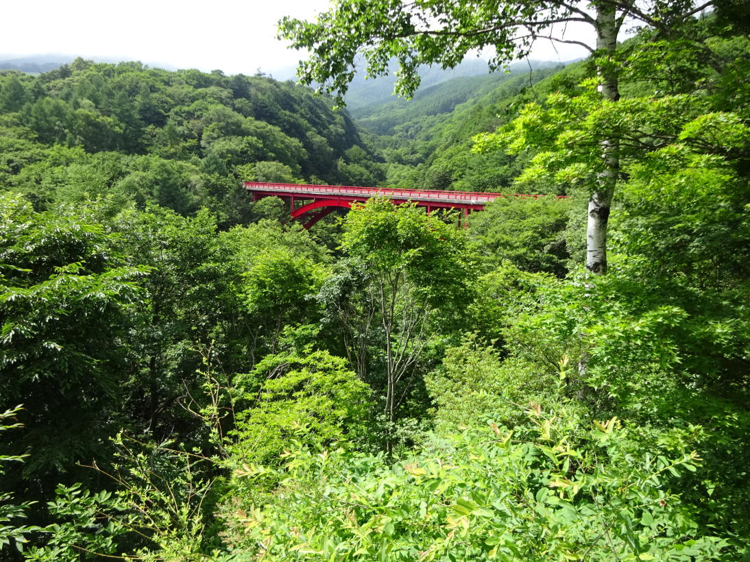 清里高原