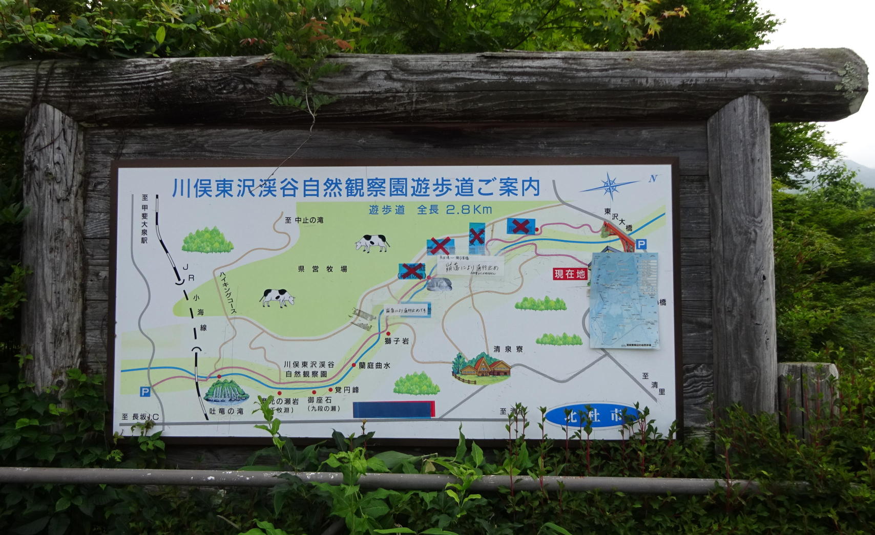 清里高原