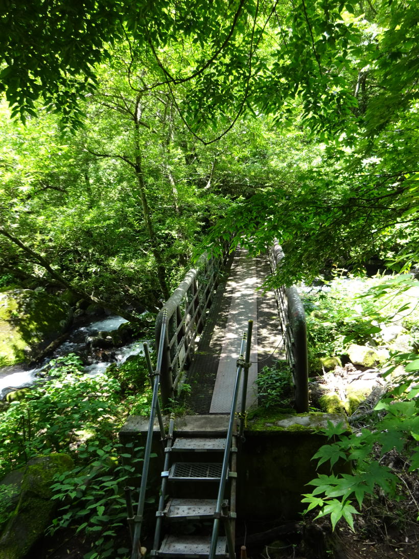 清里高原