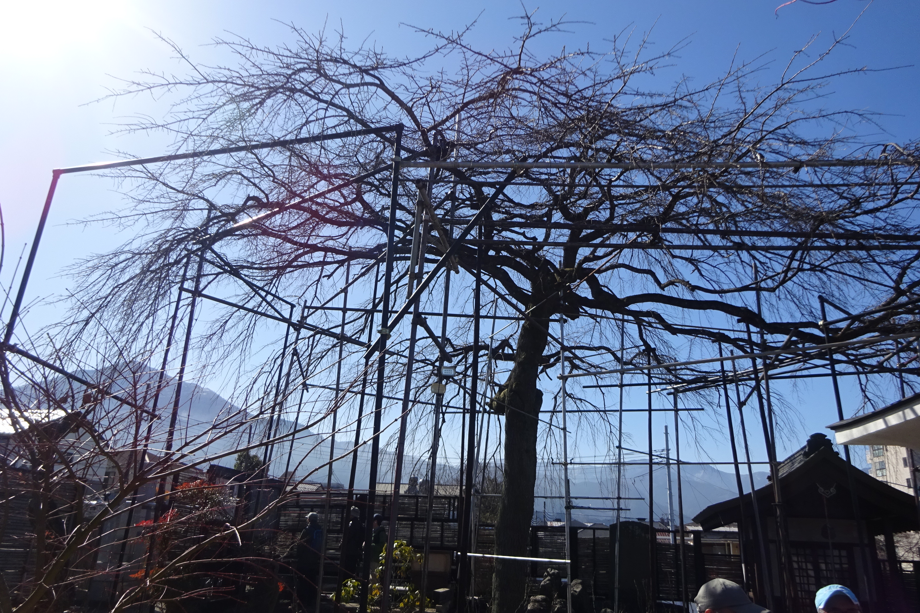 秩父長尾根丘陵