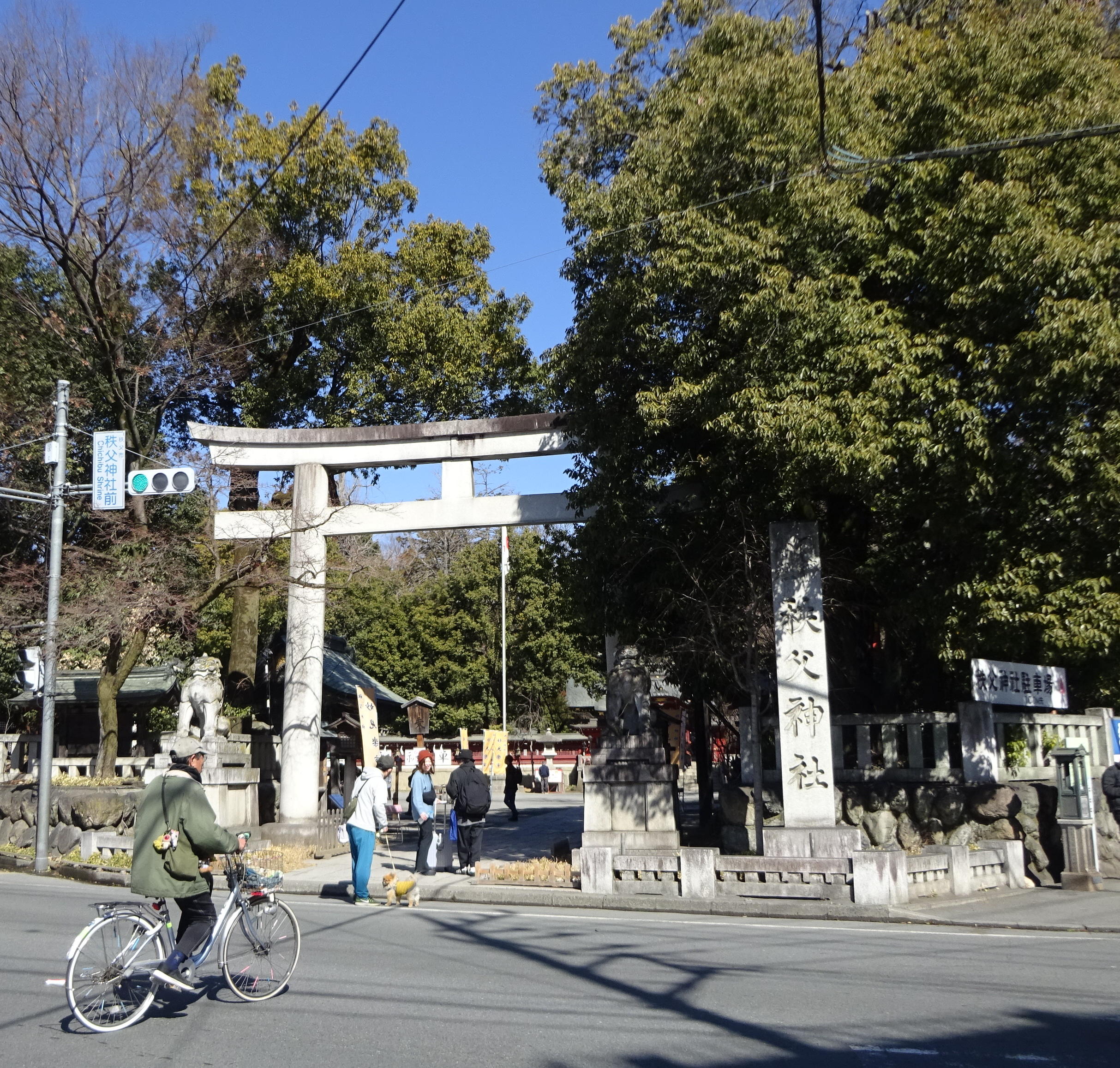 秩父長尾根丘陵