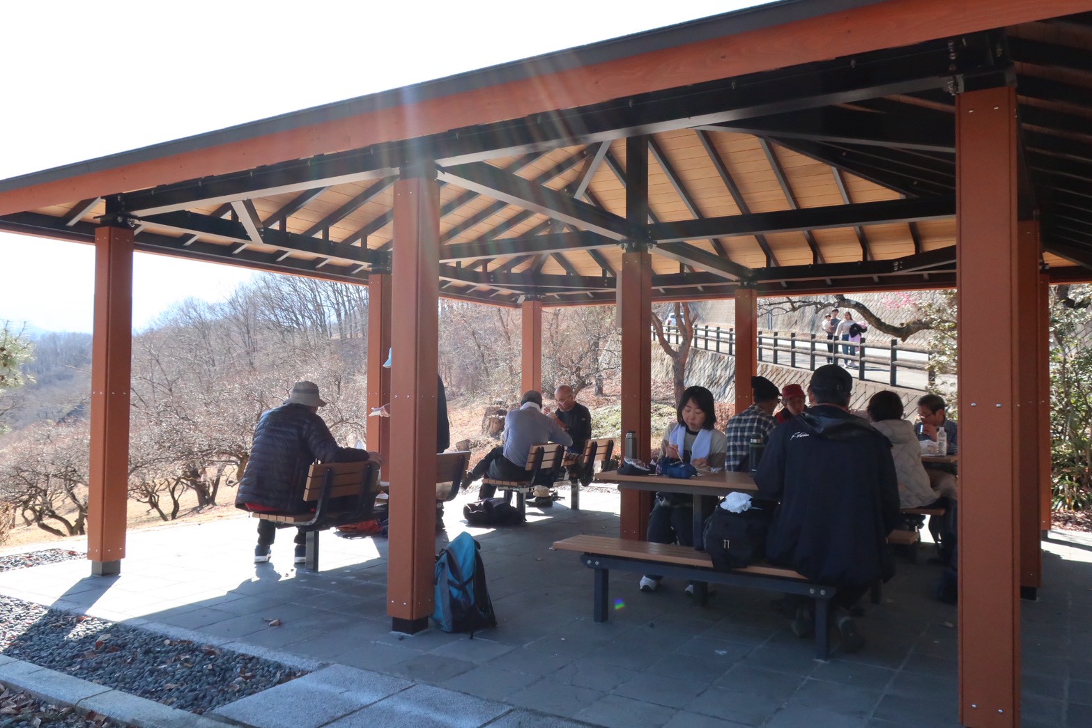 秩父長尾根丘陵