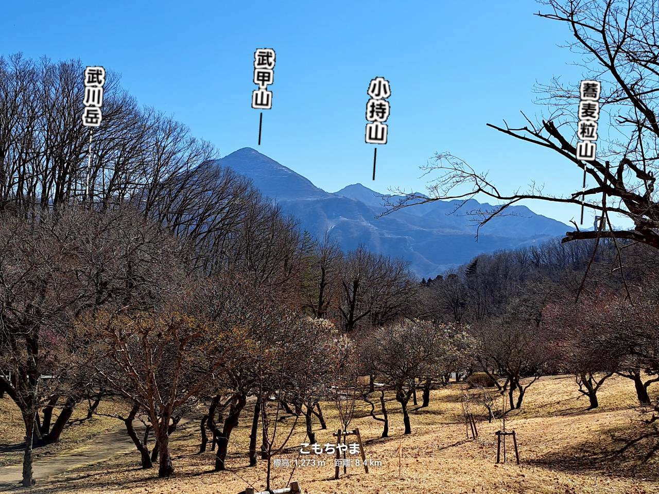 秩父長尾根丘陵