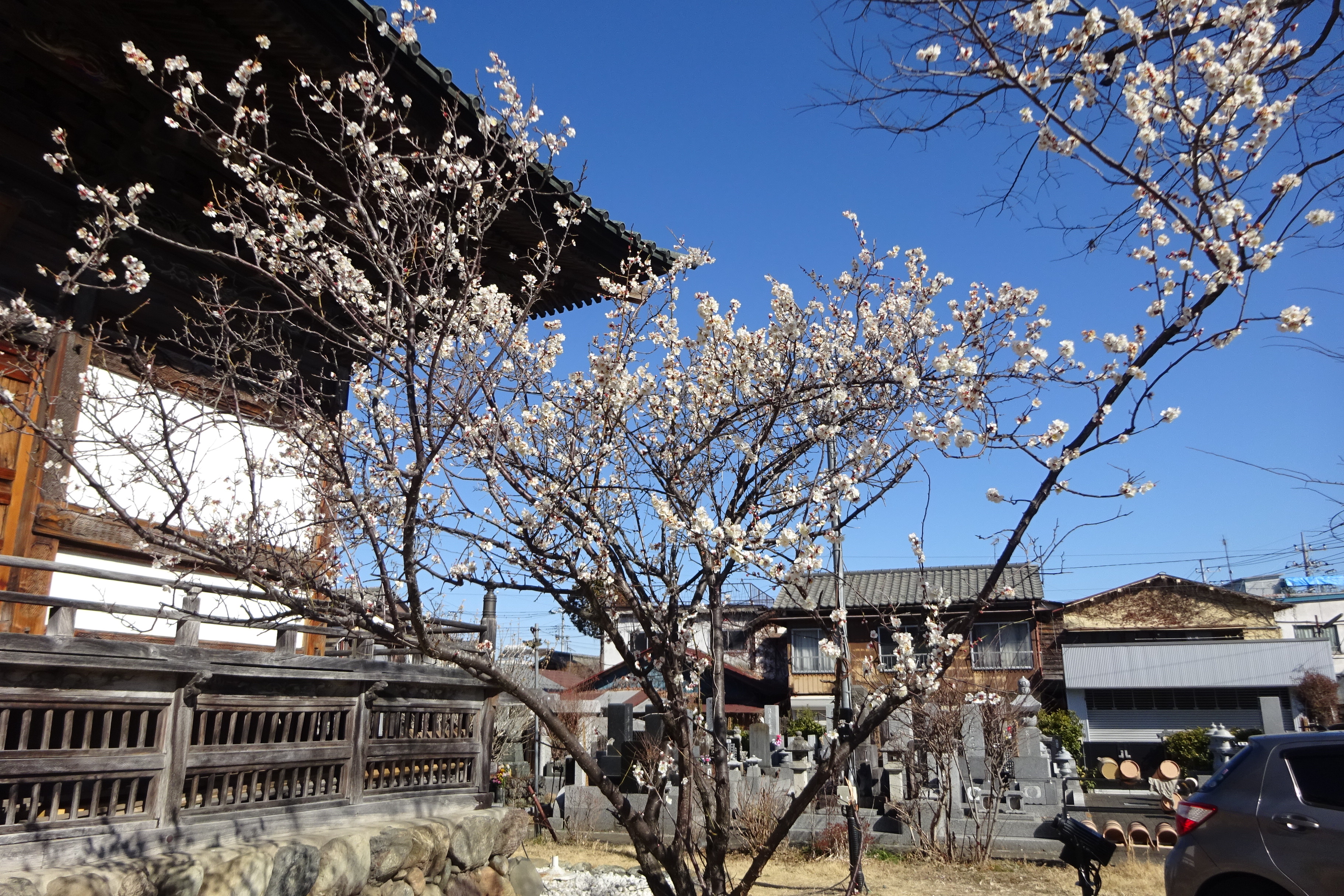 秩父長尾根丘陵