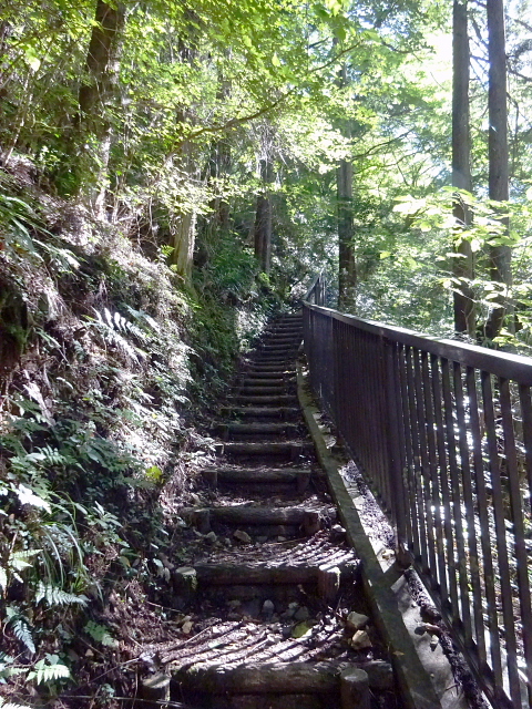 霧ヶ峰