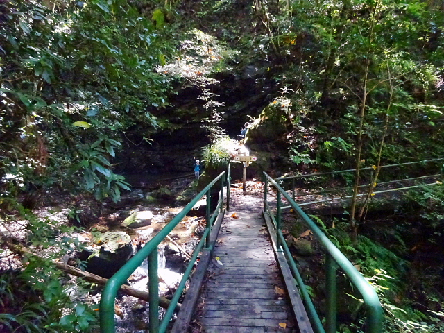 霧ヶ峰