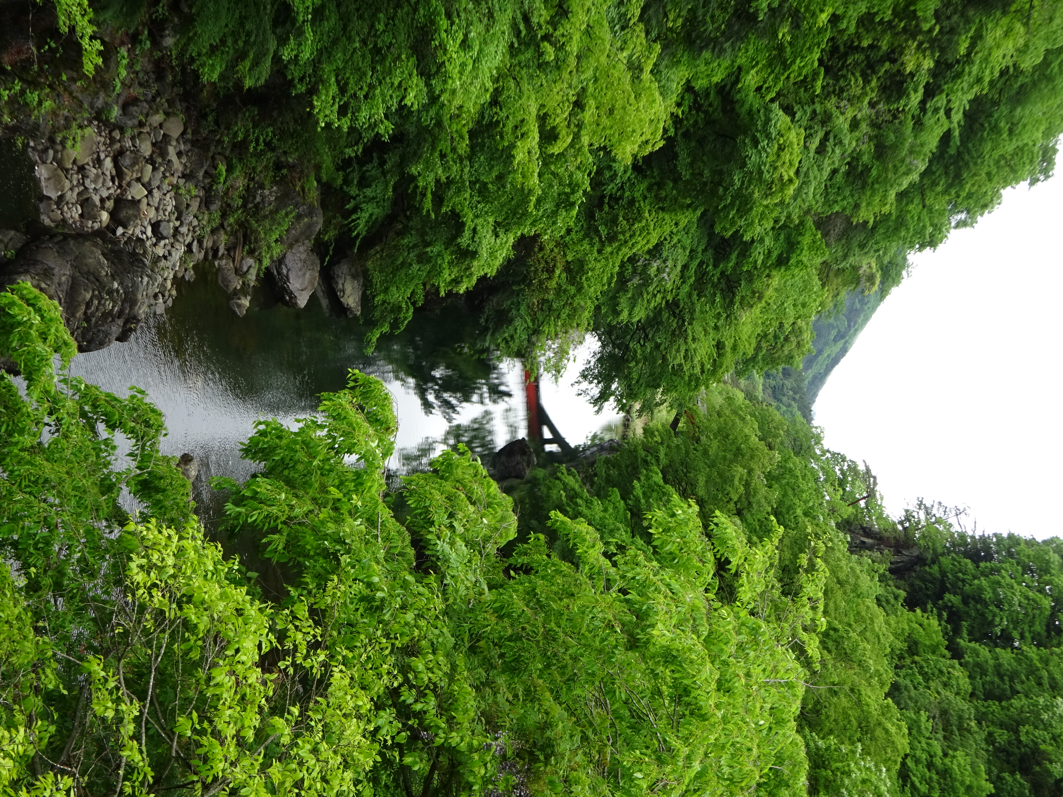 養老渓谷