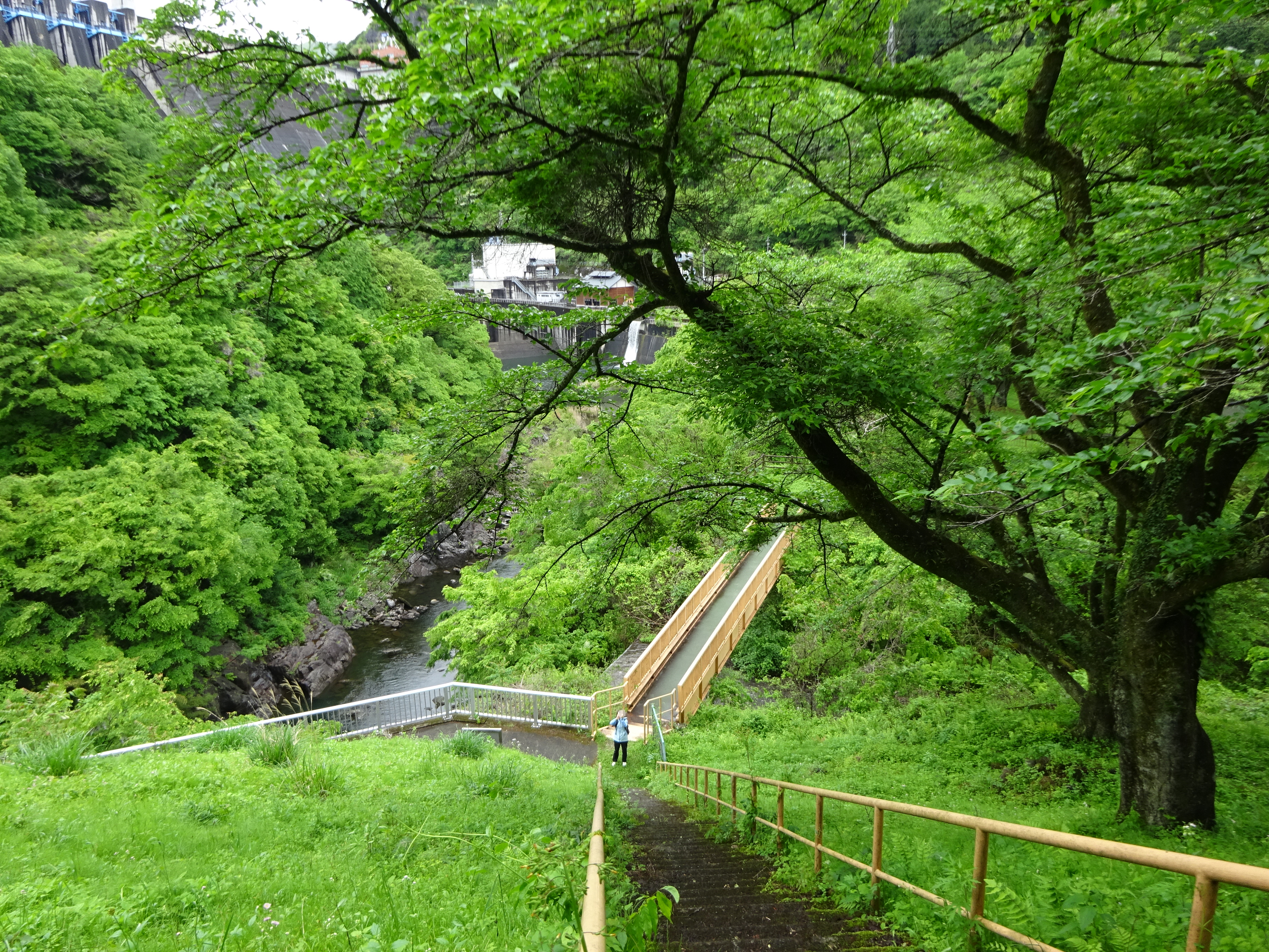 養老渓谷