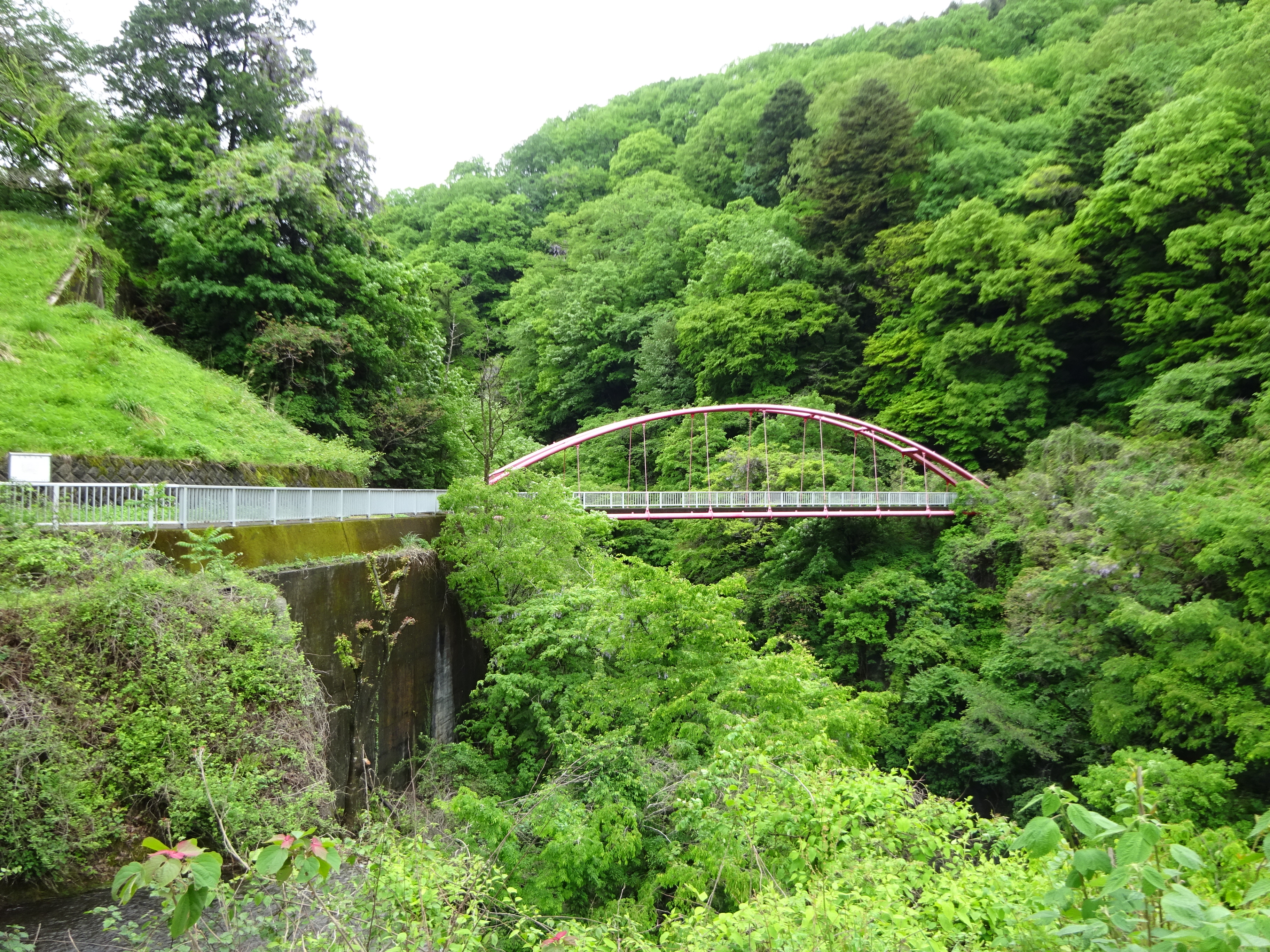 養老渓谷