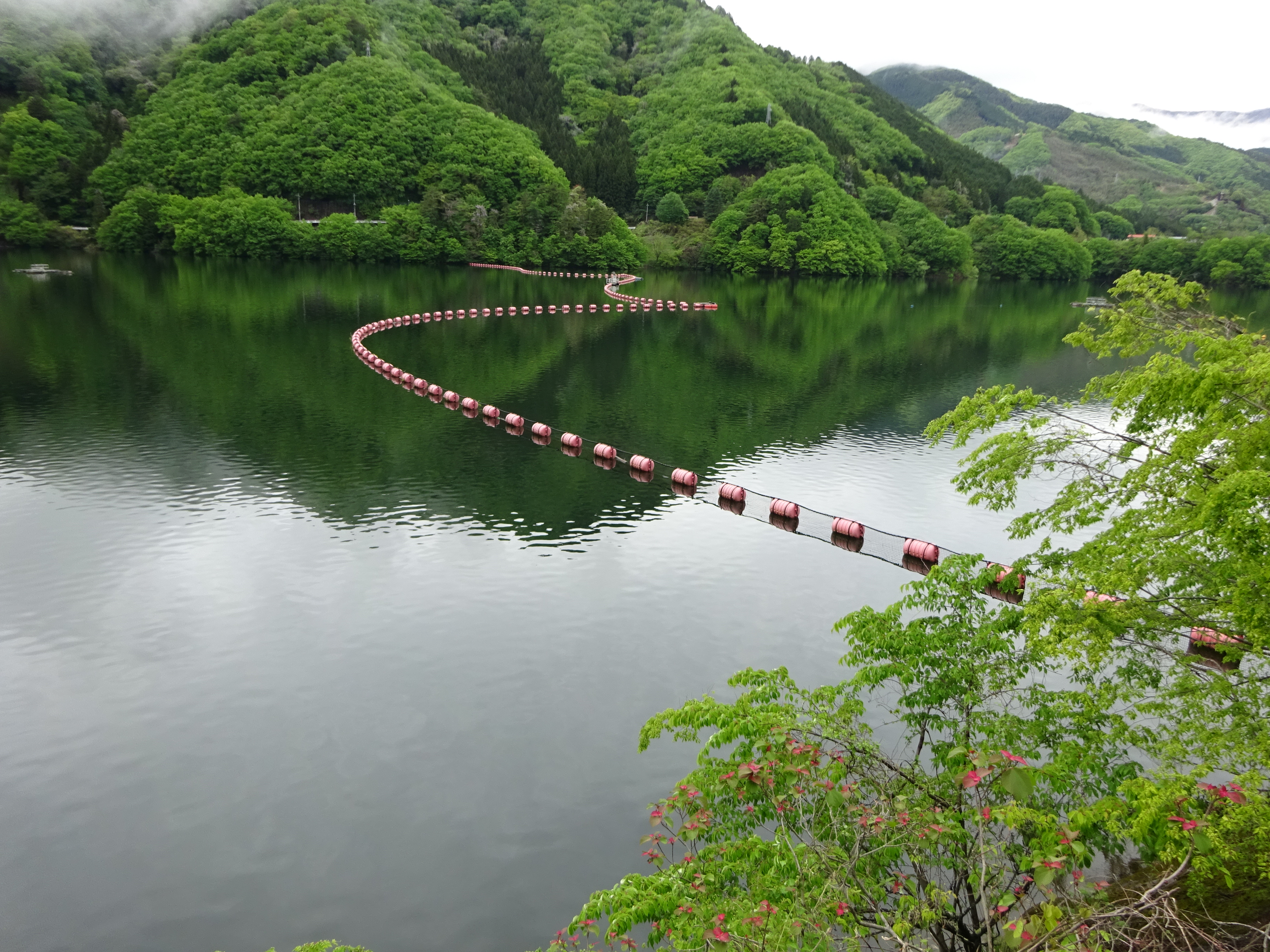 養老渓谷