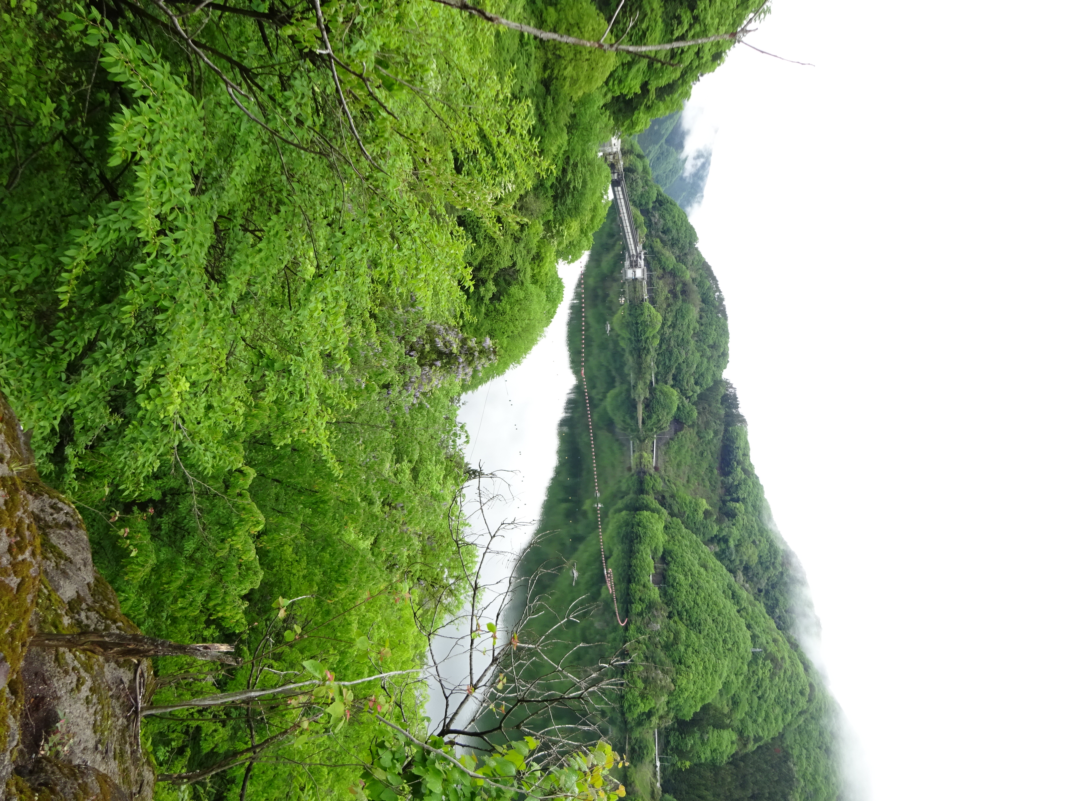 養老渓谷